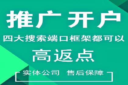 某行业SEM广告投放的创意与执行案例